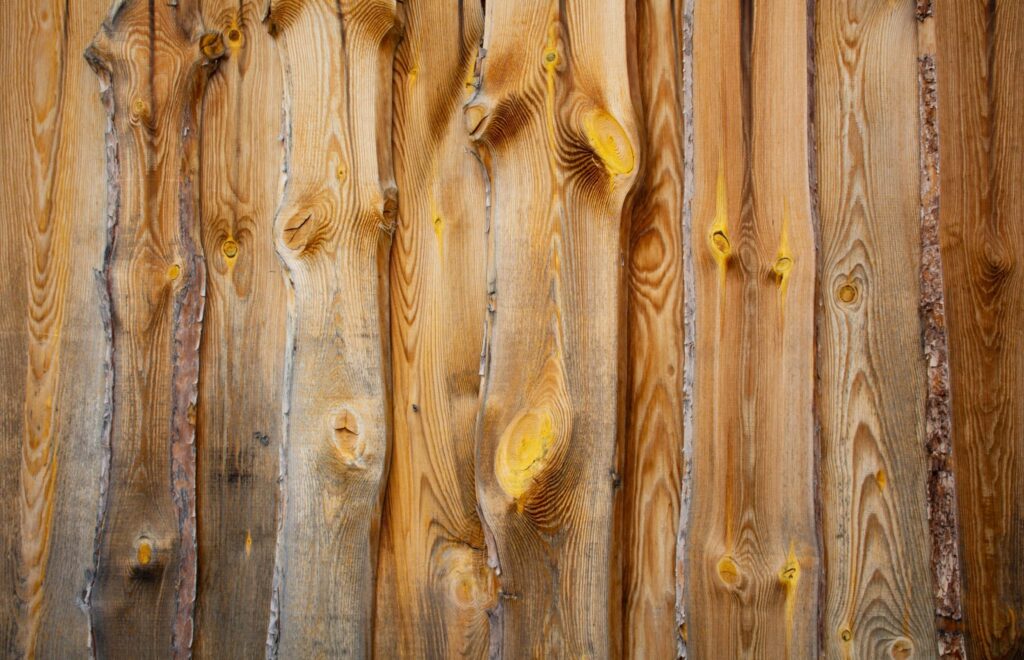 Pequeños trozos de madera -  España